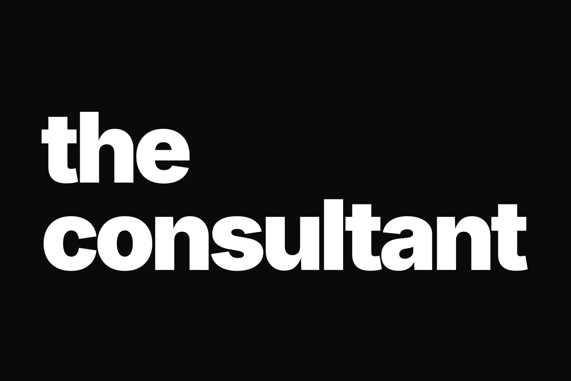 The Consultant Zbinden preview